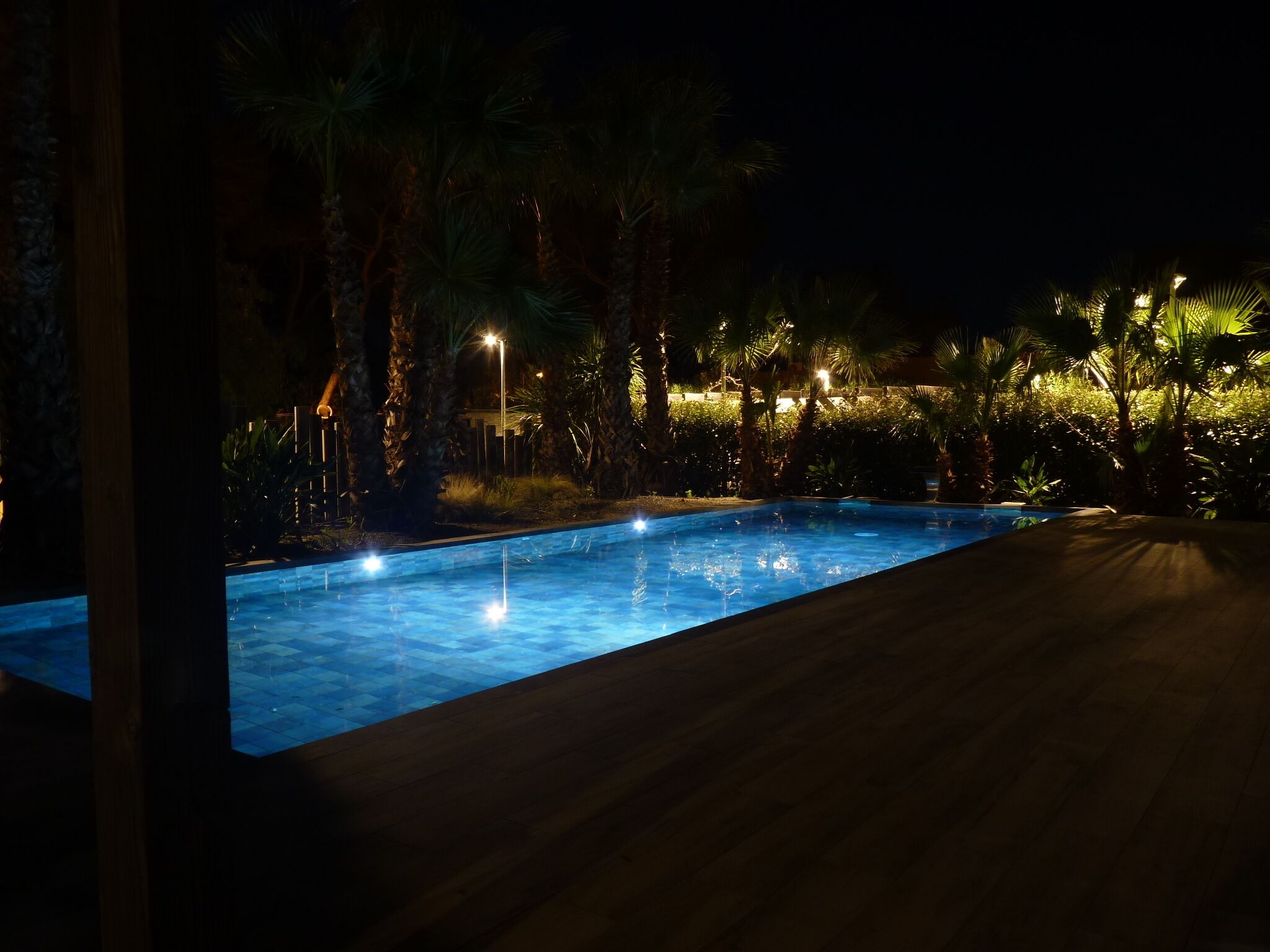 A nighttime view of a swimming pool surrounded by palm trees and illuminated by ambient lighting.