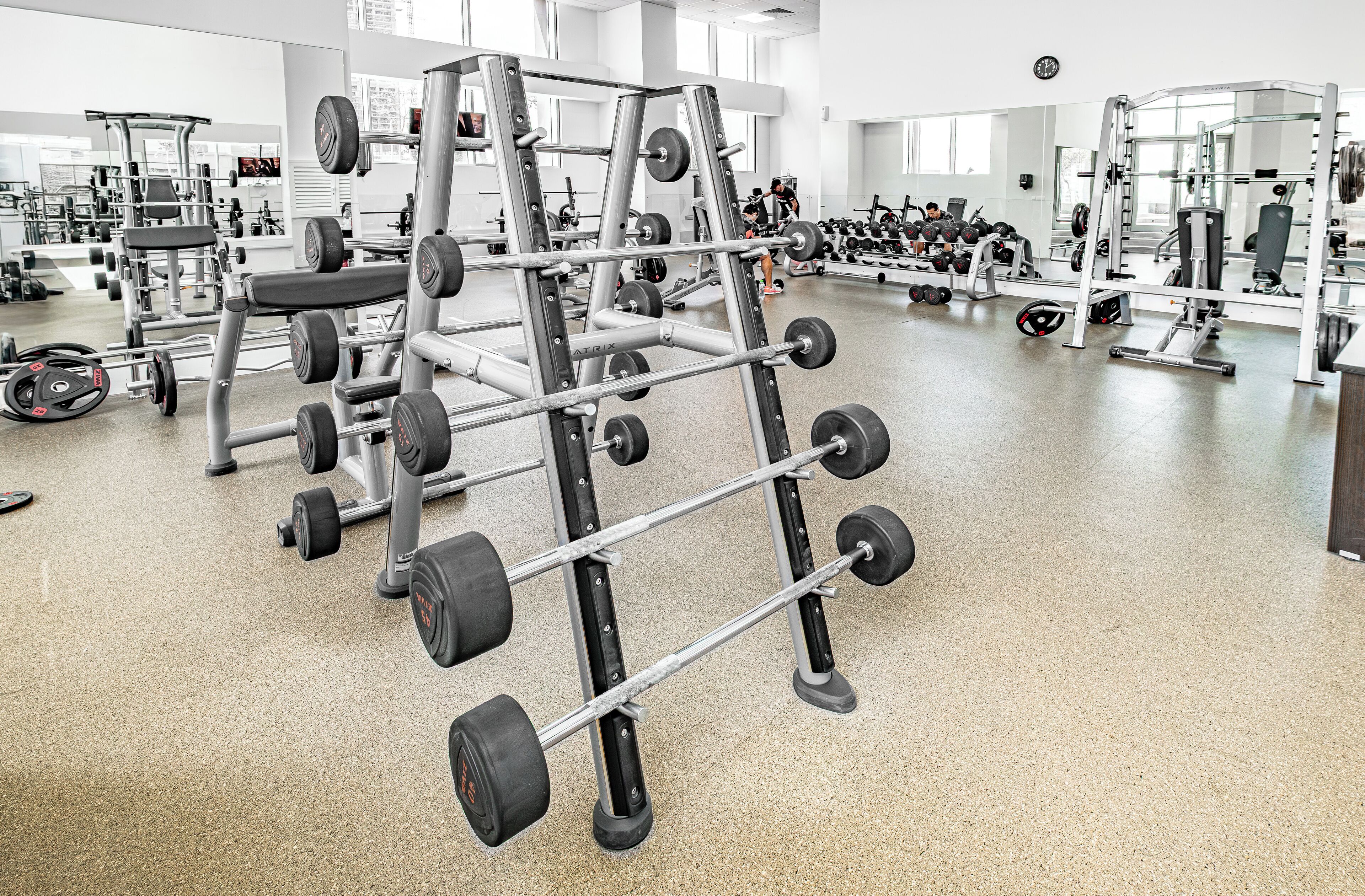 Uma academia com diversos equipamentos de musculação, incluindo suporte para agachamento e halteres.