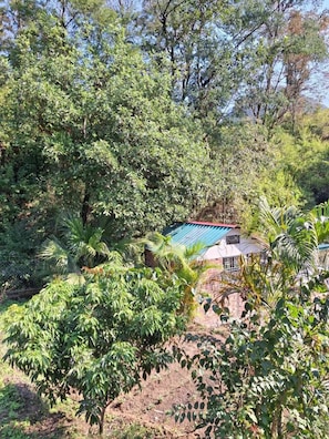 Exterior - Junegiri Farms & Homestay (Rishikesh)