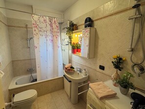Chuveiro, secador de cabelo, bidê 