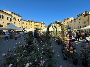 Miscellaneous - Lovely apartment for 3 people with WIFI and TV (Lucca)
