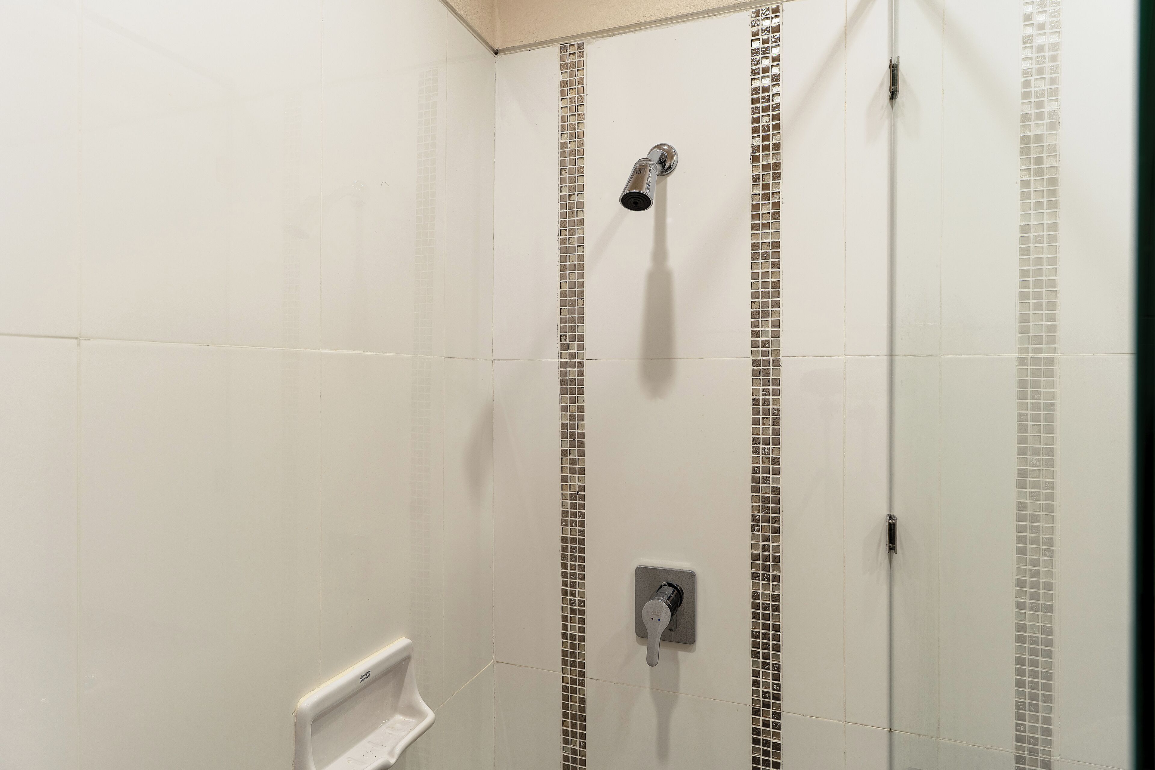 Ducha con cabezal de ducha de mano y panel de control en la pared.