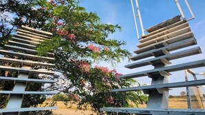 Una estructura con varios niveles de plataformas de concreto y un armazón metálico, rodeada de follaje y árboles florecientes.