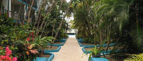 Enceinte de l’hébergement