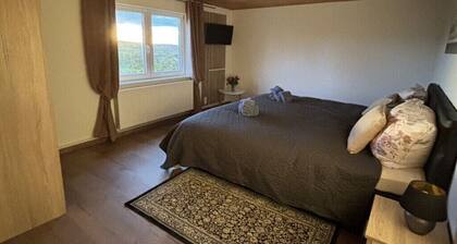 Holiday apartment in Seiffen with Wi-Fi