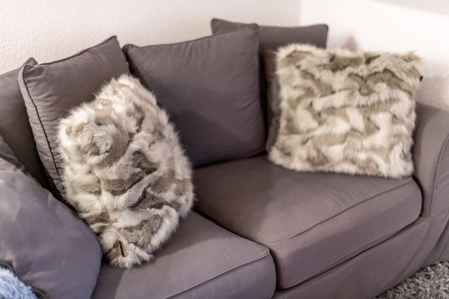 Un divano grigio con due cuscini soffici e decorativi.