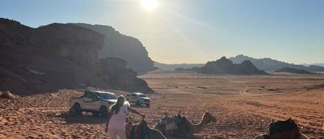 A desert landscape with a clear sky, a camel, and a person standing next to a vehicle.