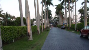 A paved pathway lined with palm trees and a hedge on one side. - Relaxed 2BR Coastal Haven with Pool, Minutes from the Beach! - (Key Biscayne)