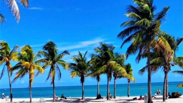 A beach with palm trees and a clear blue sky. - Relaxed 2BR Coastal Haven with Pool, Minutes from the Beach! - (Key Biscayne)