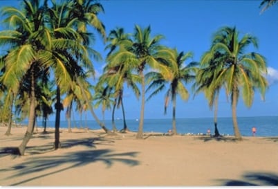 Relaxed 2BR Coastal Haven with Pool, Minutes from Sandy Beaches! -