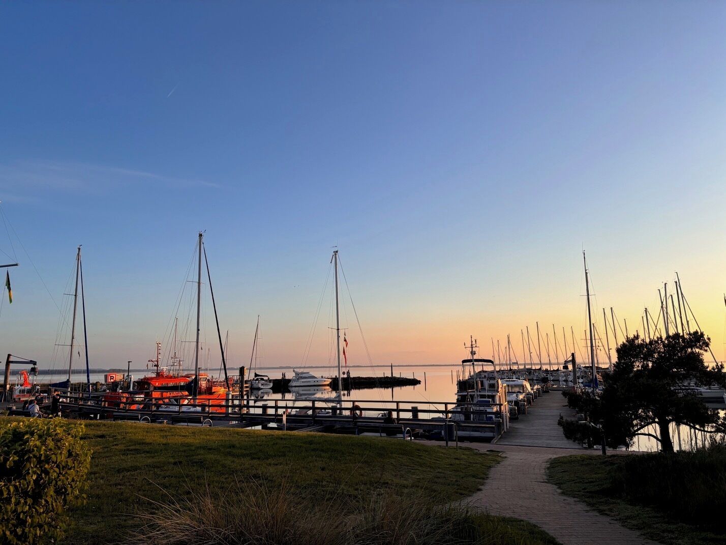 Marina