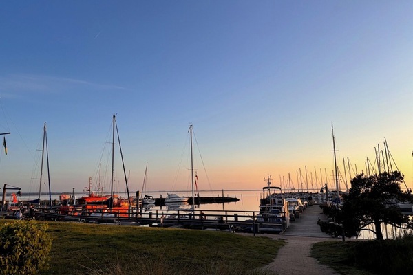 Marina