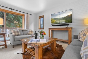 Smart-TV, Kamin