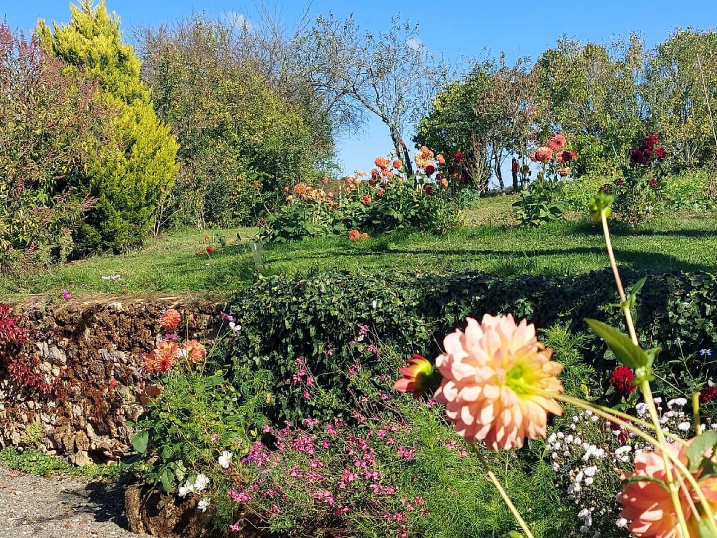 Terrain de l’hébergement 