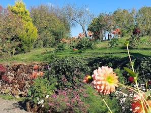 Property grounds - 3-Star Cottage near Le Mans, up to 14 guests (Saint-Georges-du-Bois)