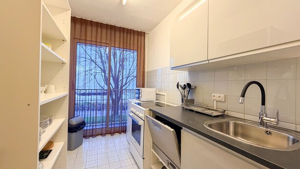 A modern kitchen with white cabinets, a stainless steel sink, and a window with a view of trees. - Beautiful apartment with pets allowed in Évian (Évian-les-Bains)