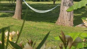 Una hamaca entre dos árboles en un espacio con césped y cielo despejado.