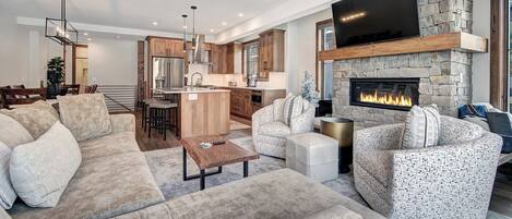 Télévision, cheminée, lecteur de DVD