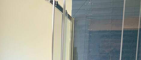 A modern bathroom with a glass-enclosed shower, a white sink, and a bidet.