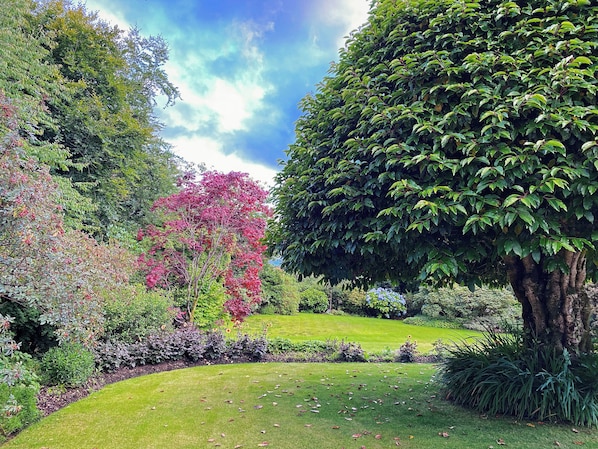 Un jardín bien cuidado con diversas especies de árboles y arbustos, un césped impecable y un cielo despejado.