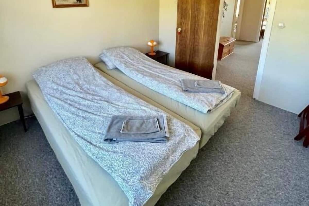 Una habitación con dos camas, una puerta de madera, un cuadro enmarcado en la pared y una lámpara en el techo.