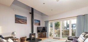 テレビ、暖炉、DVD プレーヤー