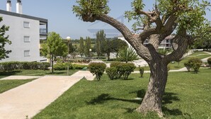 Un edificio moderno con un árbol en primer plano, un camino pavimentado y un cielo despejado.