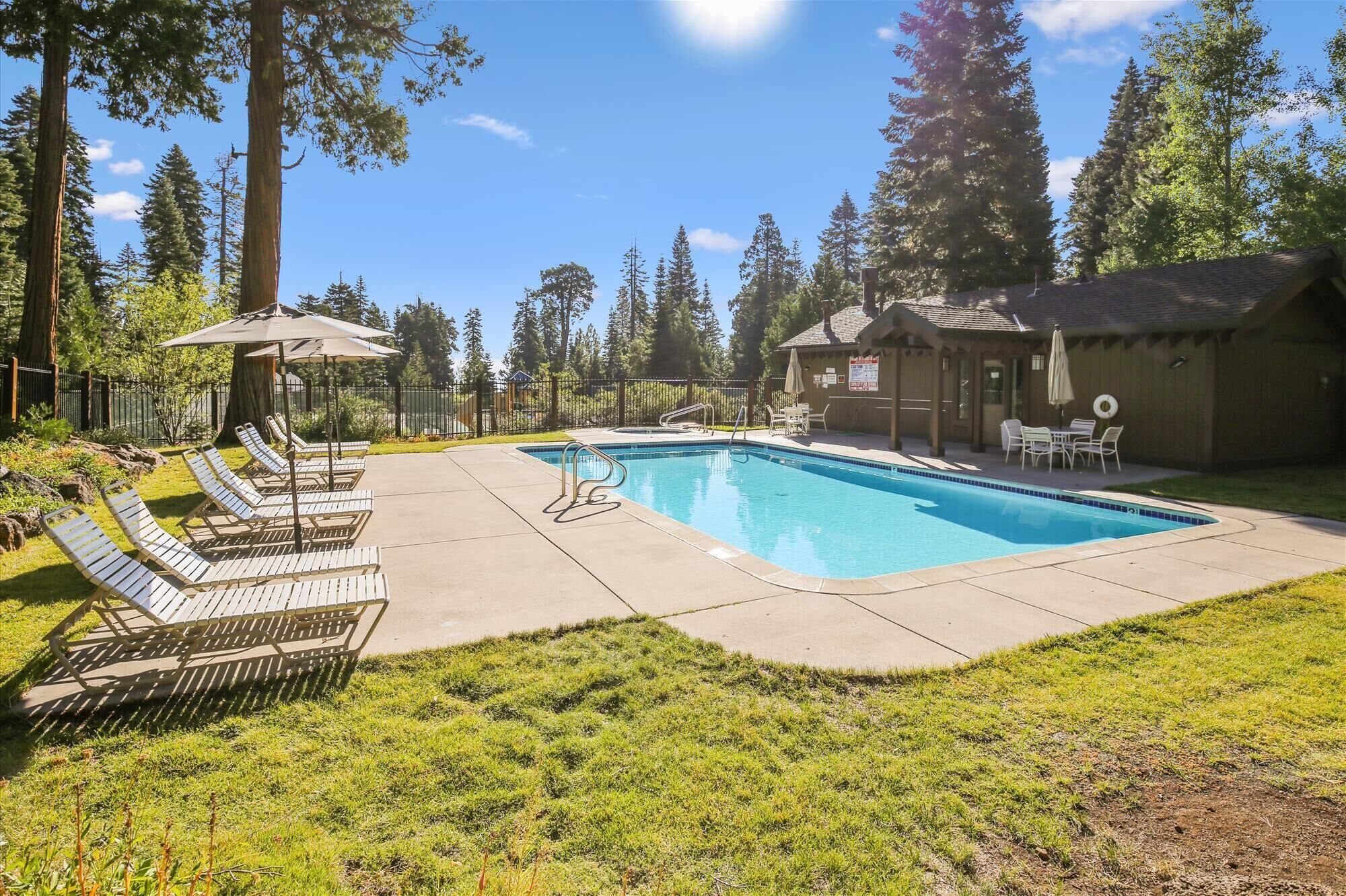 A swimming pool with lounge chairs and umbrellas, surrounded by a wooden fence and trees.