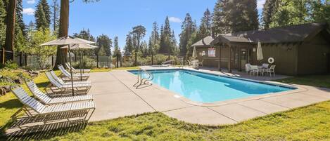 A swimming pool with lounge chairs and umbrellas, surrounded by a wooden fence and trees.