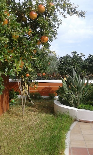 Jardín