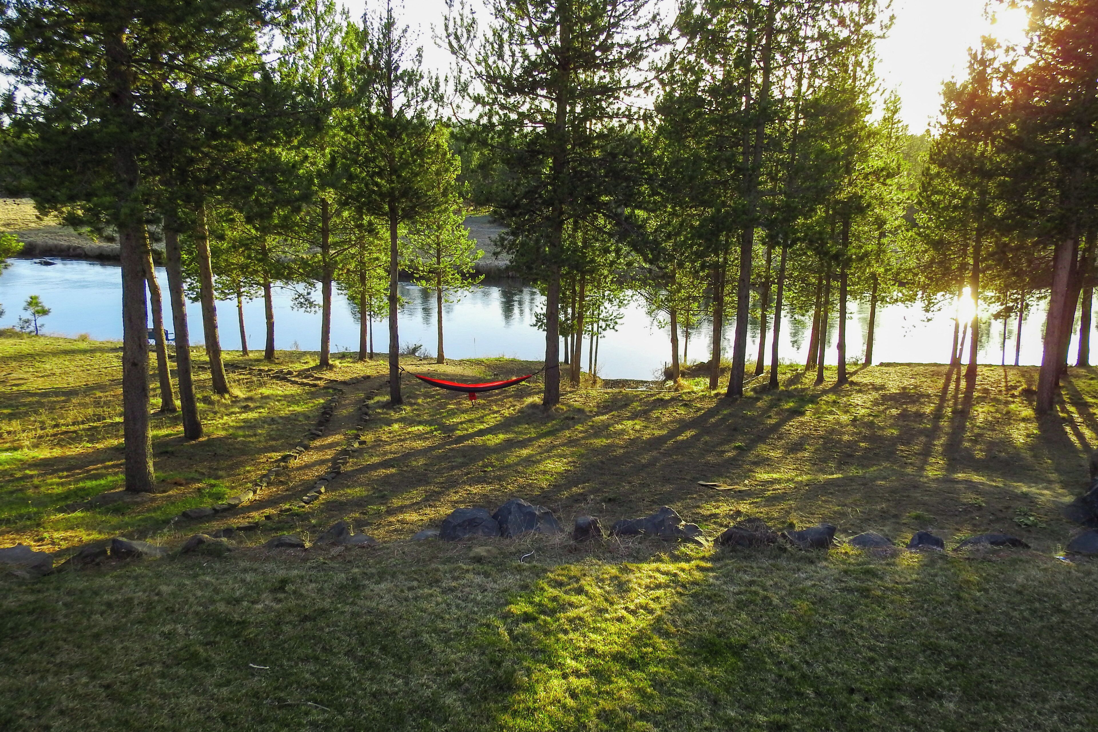 A serene lakeside setting with trees and a hammock.