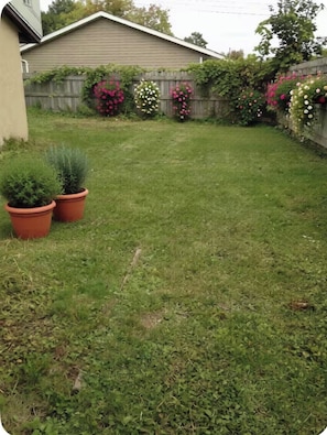 Terrain de lâhĂ©bergement