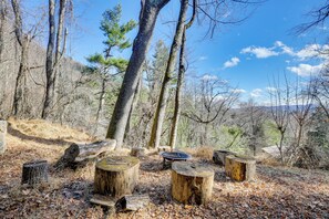 Interior - Ski, Hike & Unwind: Mtn-view Gem w/ Deck in Boone (Boone)