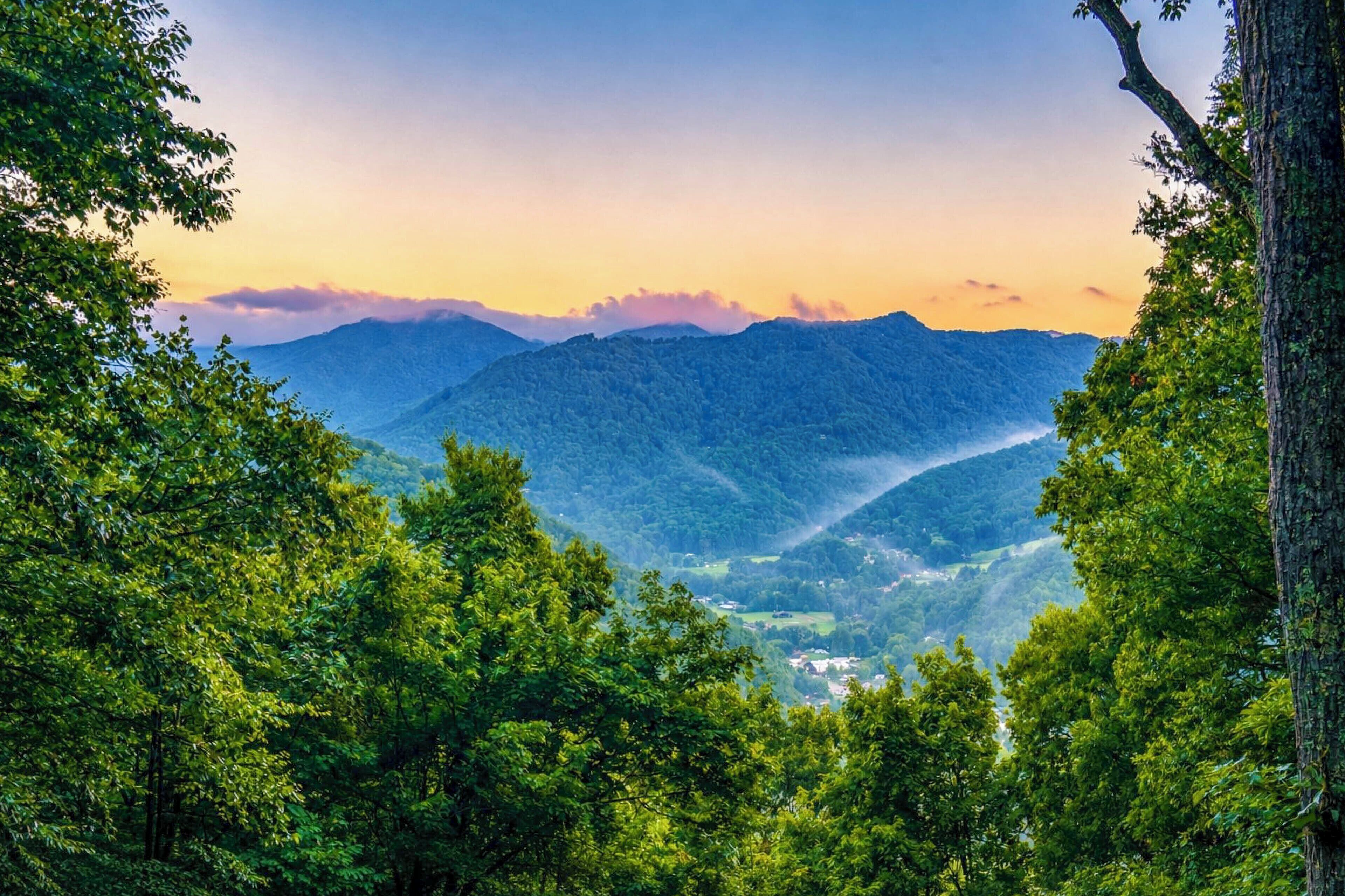 Un paisaje montañoso con un bosque denso en primer plano y un valle al fondo.