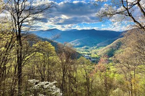 Un paisaje montañoso con bosques densos y un valle.