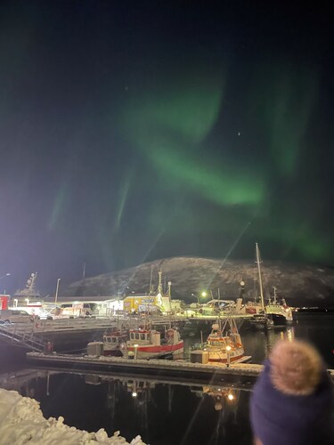 Norwegian winter adventure, northern lights, skiing, views, sea and mountains.