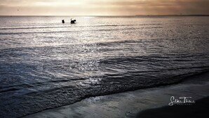 Een strandscène met twee honden in het water, een heldere lucht en een verre horizon.