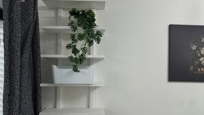 未分类图片，第 2 张，共 55 张，按钮
