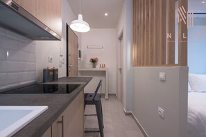 Estudio estándar | Cocina privada | Frigorífico grande, microondas, horno y placa de cocina