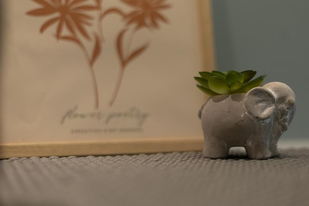 Un petit pot en forme d’éléphant, contenant une plante succulente, posé sur une surface texturée. En arrière-plan, on aperçoit une œuvre d’art encadrée représentant des fleurs et le texte « flower power ».