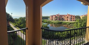 Property grounds -  Luxurious 3-Bedroom Condo with Stunning Water Views of Old Tampa Bay. (Clearwater)
