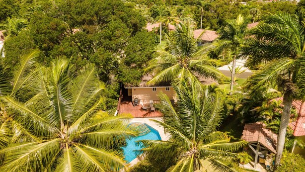 Un resort tropical con piscina rodeada de palmeras, una montaña al fondo y vista al océano.