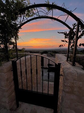 Property grounds - La Maison des Jardins - Gigondas (Gigondas)