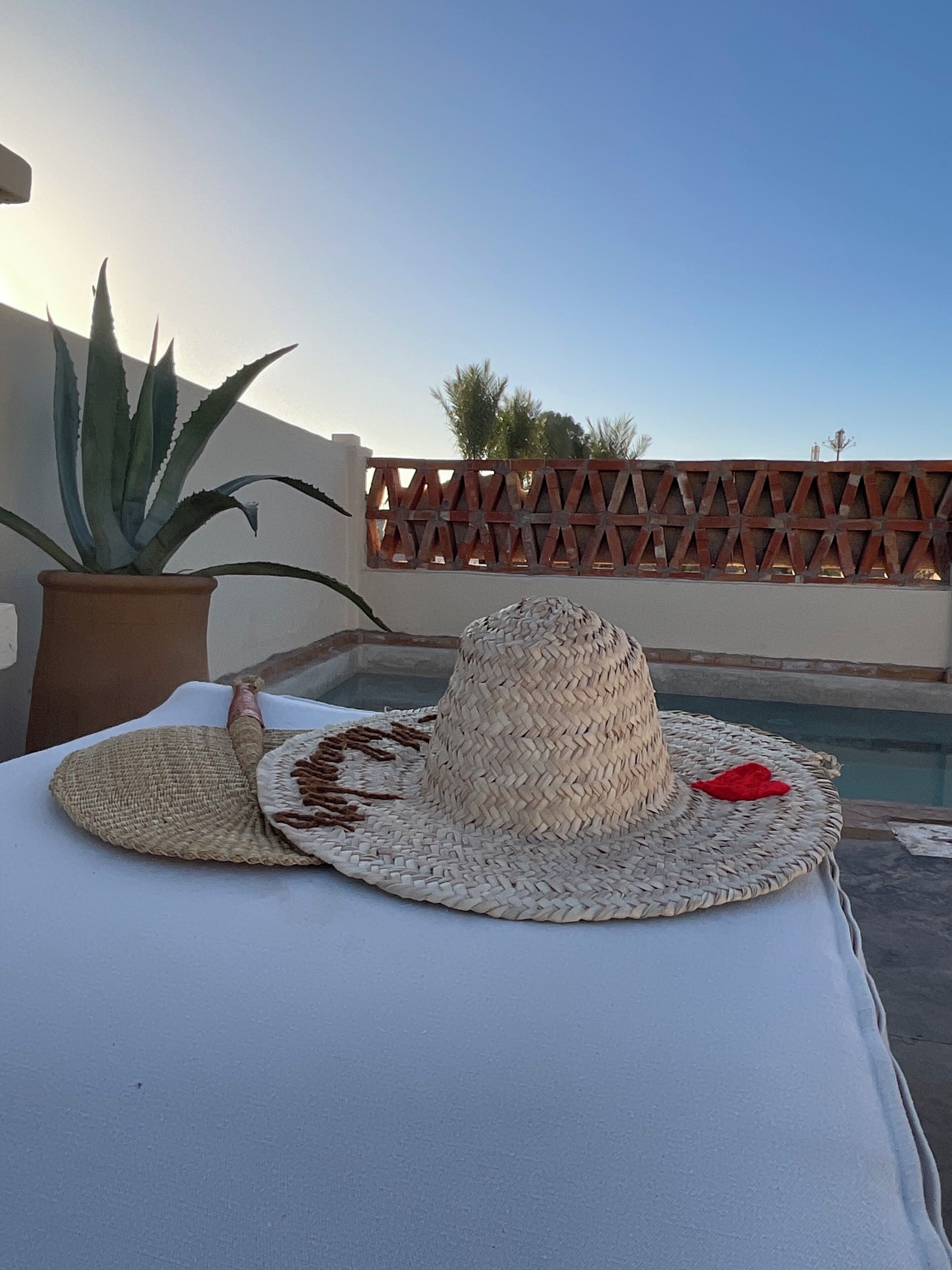 A sun lounger with a woven hat and a potted aloe vera plant.