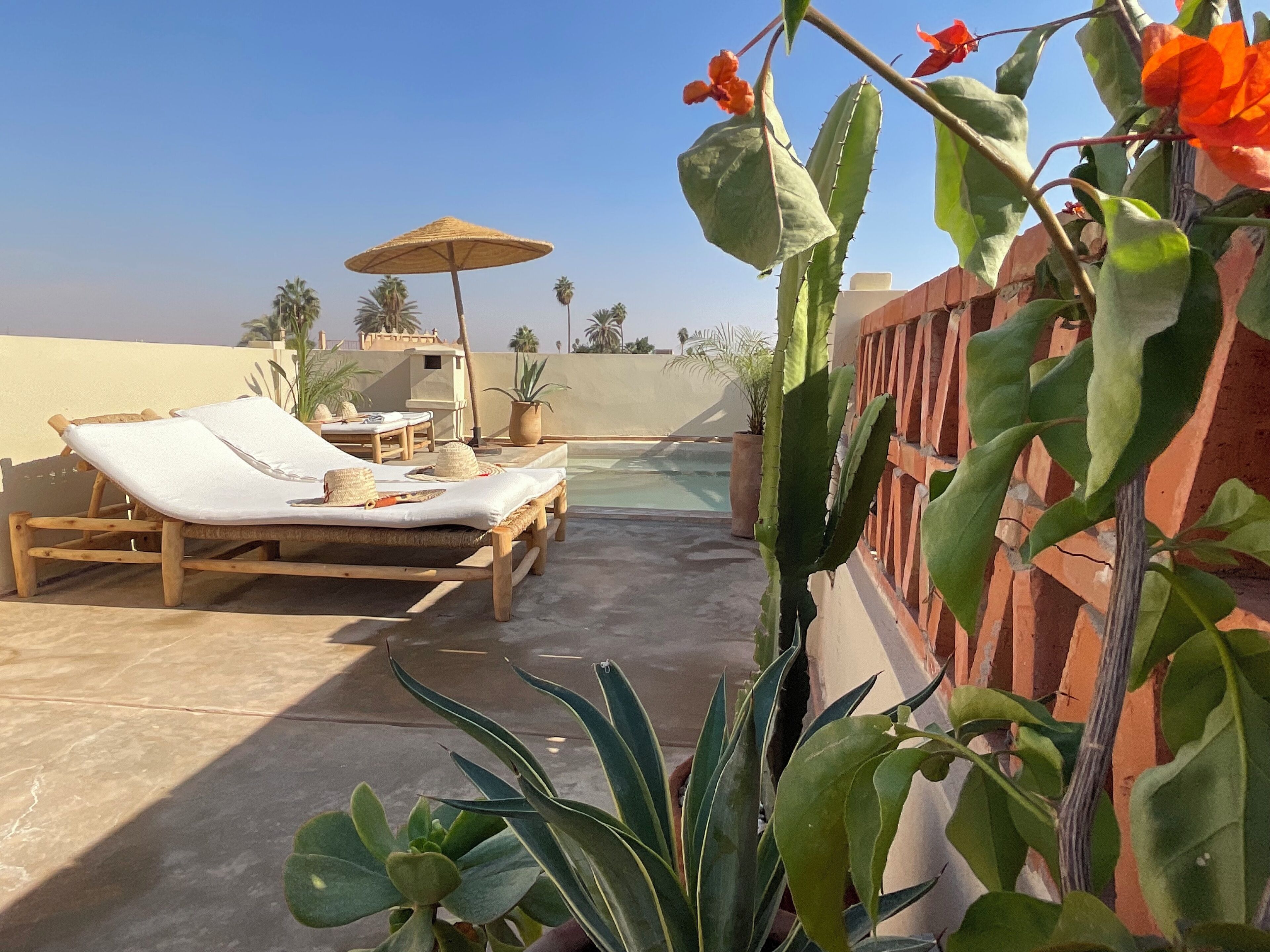 Terraza en la azotea con sillones, una mesa y plantas en macetas.