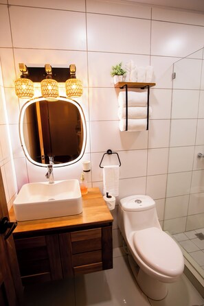 Shower, hair dryer, towels, soap