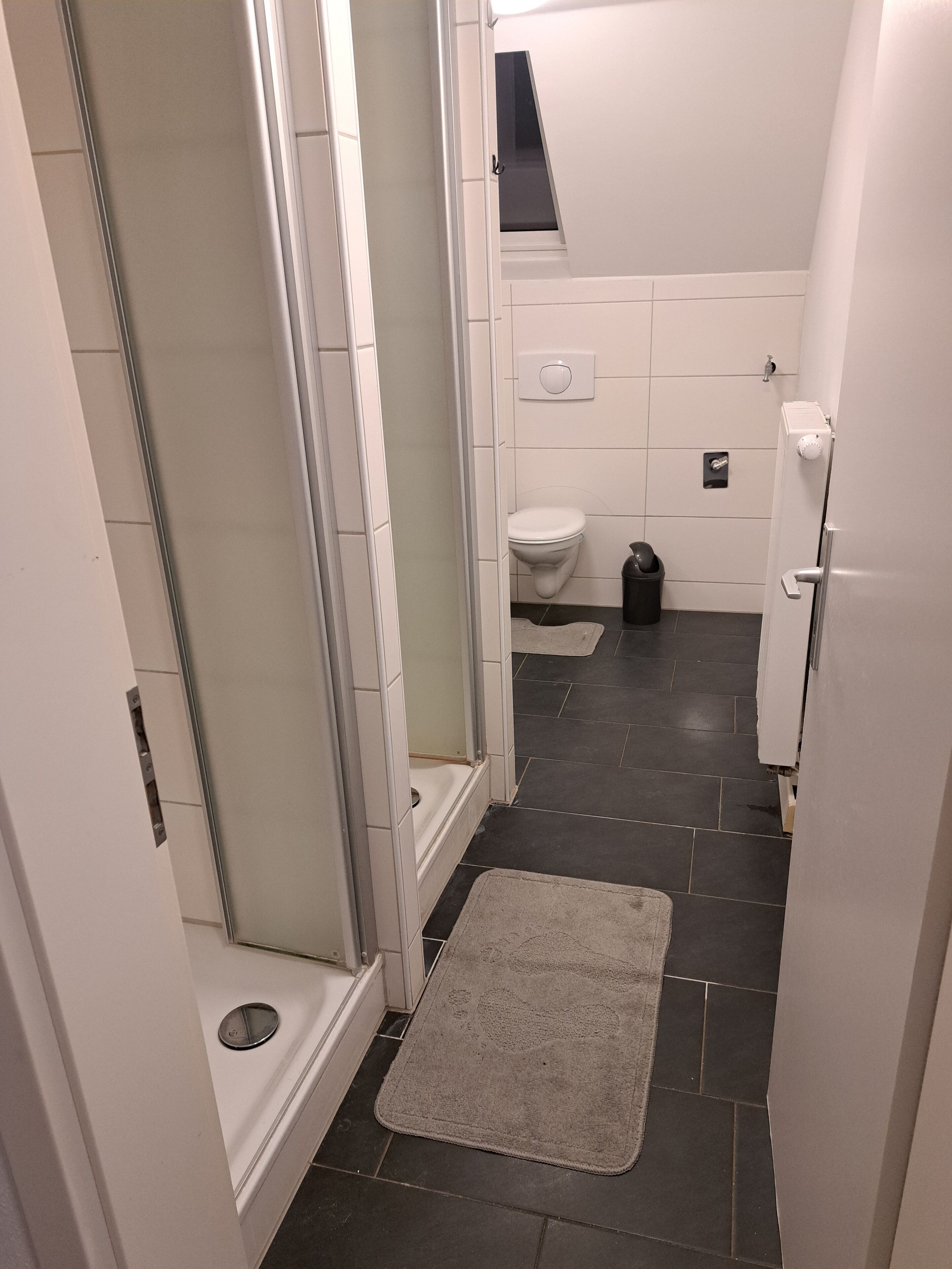 Ducha, toallas y papel higiénico