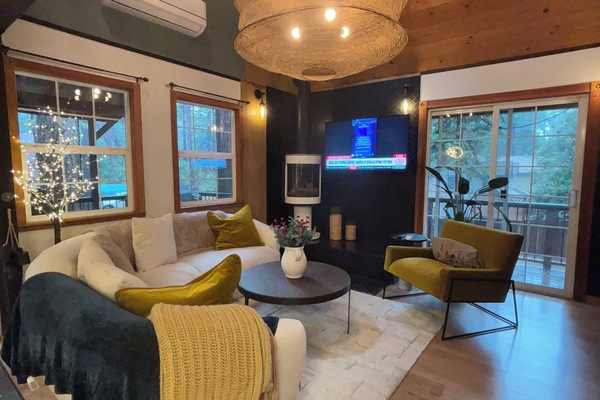 Smart-tv, pejs, bøger