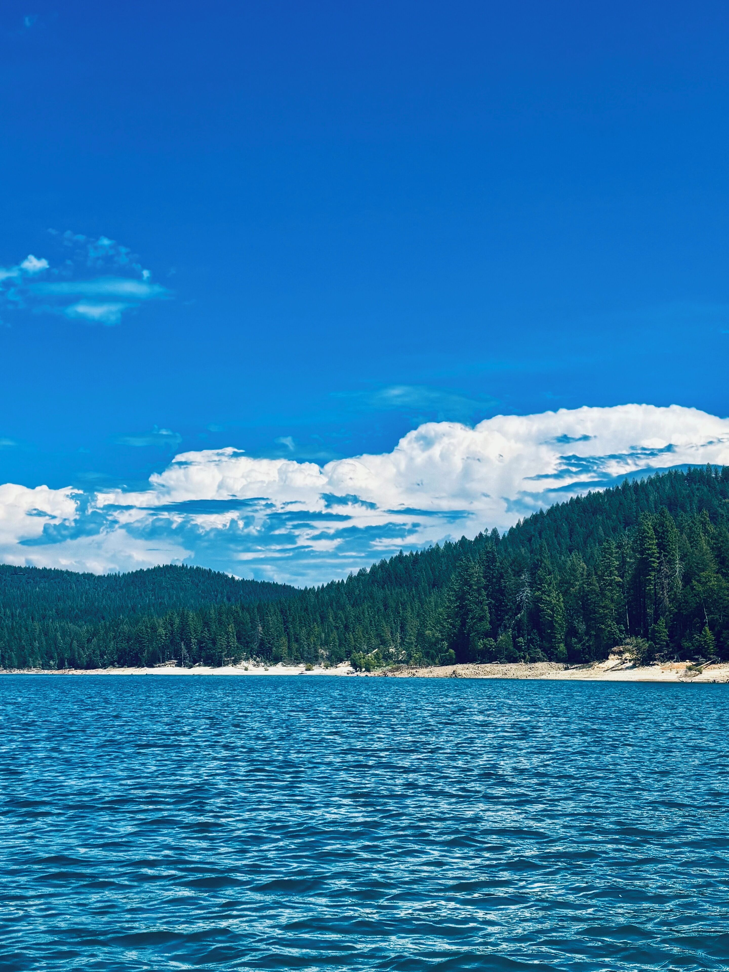 A clear view of a calm sea with a forested mountain in the background.