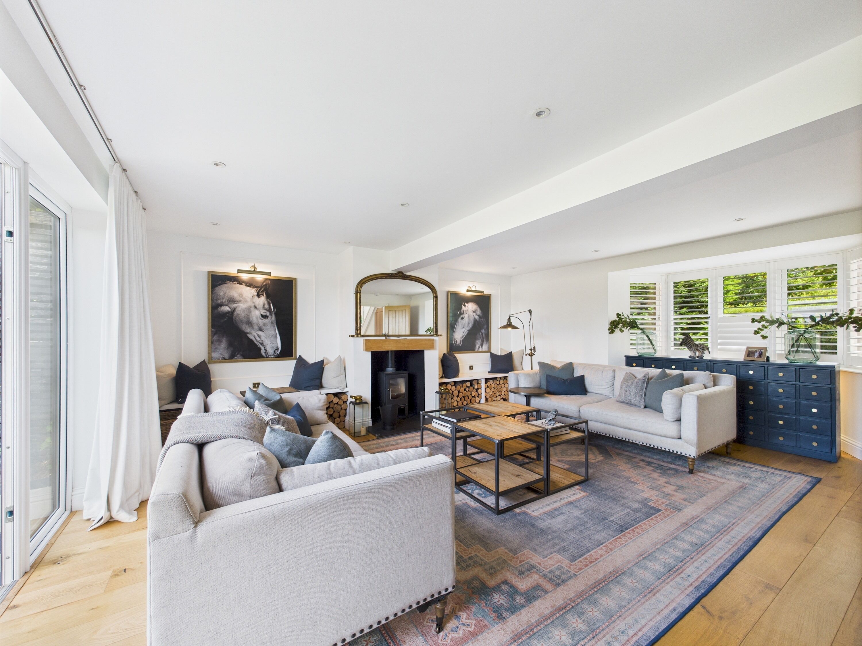 TV, fireplace, books